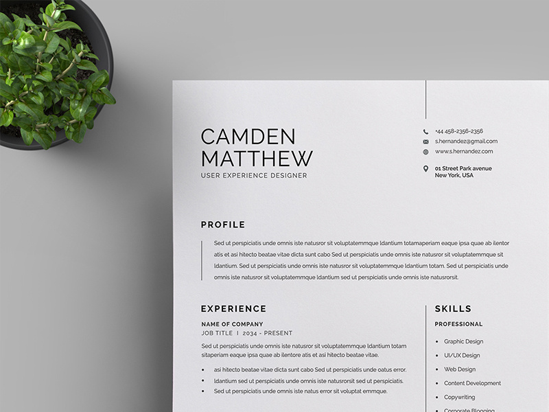 Resume/CV by Reuix Studio on Dribbble