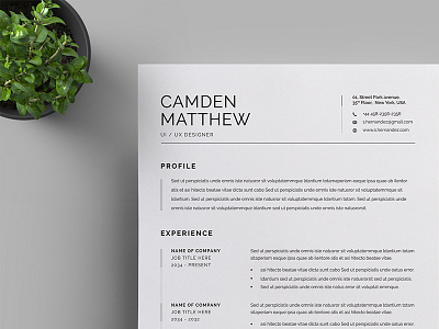 Resume/CV a4 branding business business letterhead clean corporate corporate identity cv template docx letterhead modern resume professional professional resume resume simple stationery us letter vector word word template