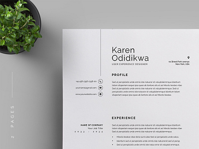 Resume/CV a4 branding business business letterhead clean corporate corporate identity cv template docx letterhead modern resume professional professional resume resume simple stationery us letter vector word word template