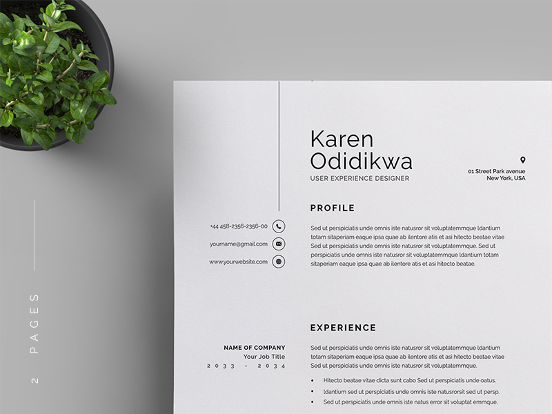 Resume Cv By Reuix Studio On Dribbble