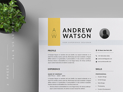 Resume/CV a4 branding business business letterhead clean corporate corporate identity cv template docx letterhead modern resume professional professional resume resume simple stationery us letter vector word word template