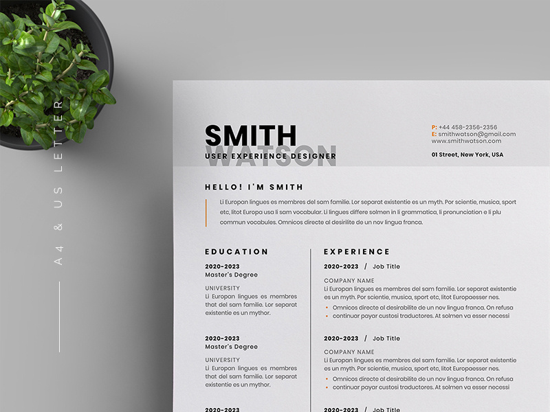 resume cv by reuix studio on dribbble 2020 professional resume