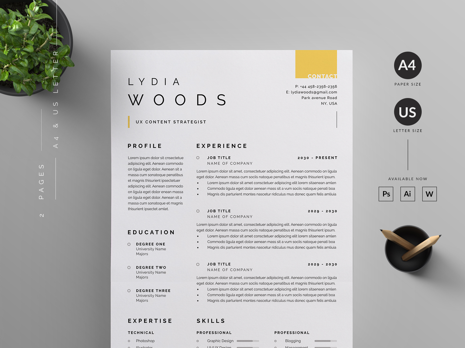 Resume/CV by Reuix Studio on Dribbble