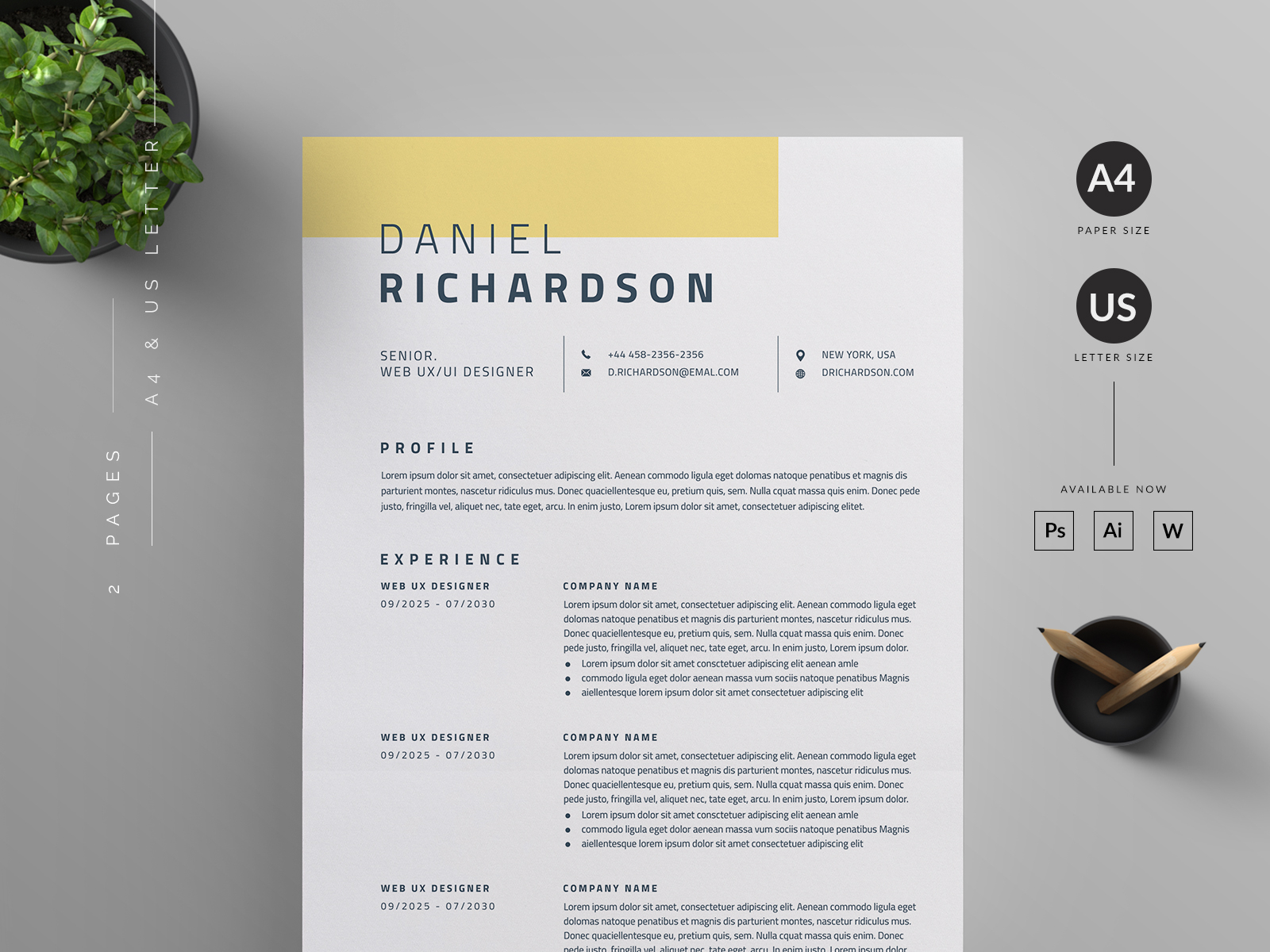 Resume/CV by Reuix Studio on Dribbble