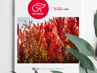 GR AQUA Design Logo Aquascaping Magazine Cover aquscaping logo brainy works graphics branding digital logo gr aqua graphic design graphic logo logo nanure aquarium logo
