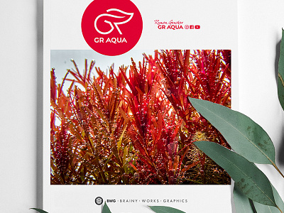 GR AQUA Design Logo Aquascaping Magazine Cover