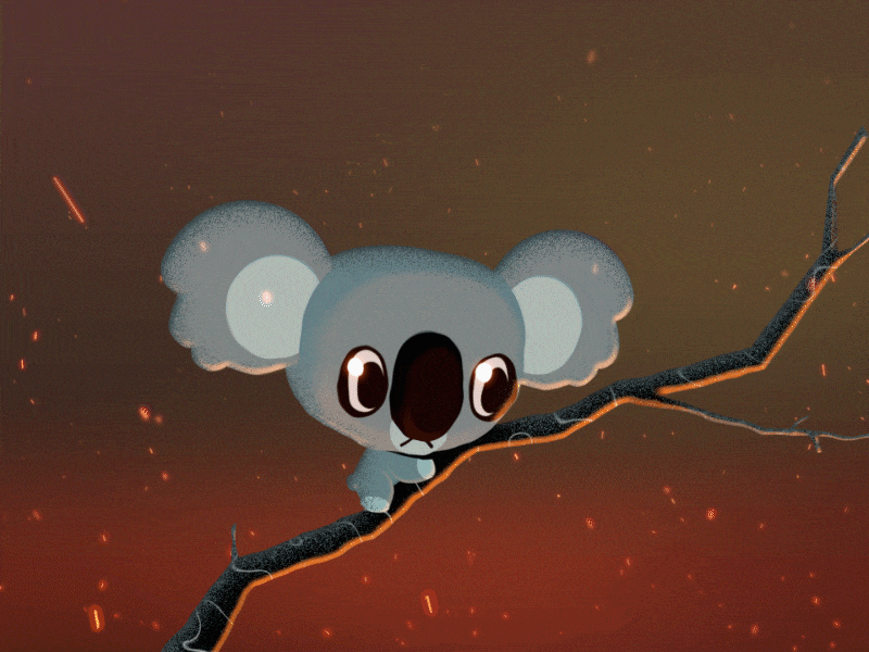 Koala 🔥 2d animation australia duik fire koala motion padubs