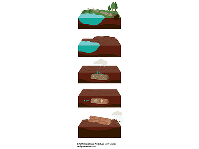 How petrified wood is formed childrens publishing digital art educational illustration kidlitart petrified wood sciart step by step vector illustration