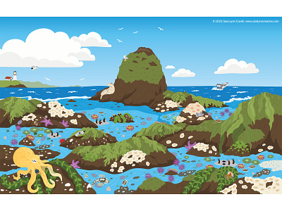 Tidal Pools animals childrens publishing educational illustration illustration kidlitart nonfiction ocean octopus sciart tidal pool vector