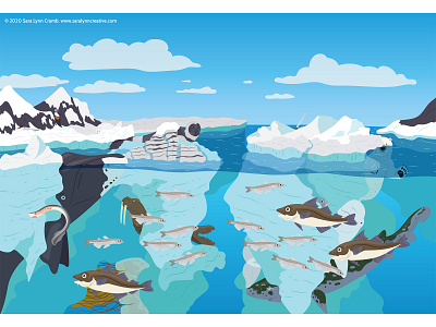 Arctic Ocean animals arctic childrens publishing iceberg illustration kidlitart natural science nonfiction ocean sciart vector wildlife