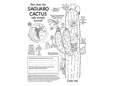 Saguaro Cactus activity page