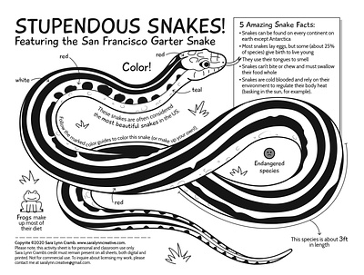Stupendous Snakes activity page animals childrens publishing educational educational illustration illustration kidlitart lineart nonfiction sciart snake vector