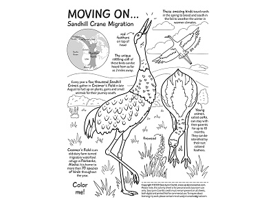 Sandhill Crane Coloring Page By Sara Lynn Cramb On Dribbble