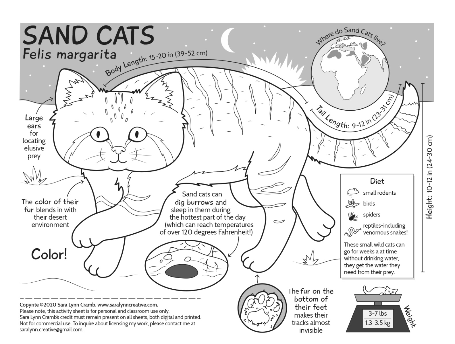 Sand Cat Activity Page By Sara Lynn Cramb On Dribbble sand-cat-activity-page-by-sara-lynn-cramb-on-dribbble