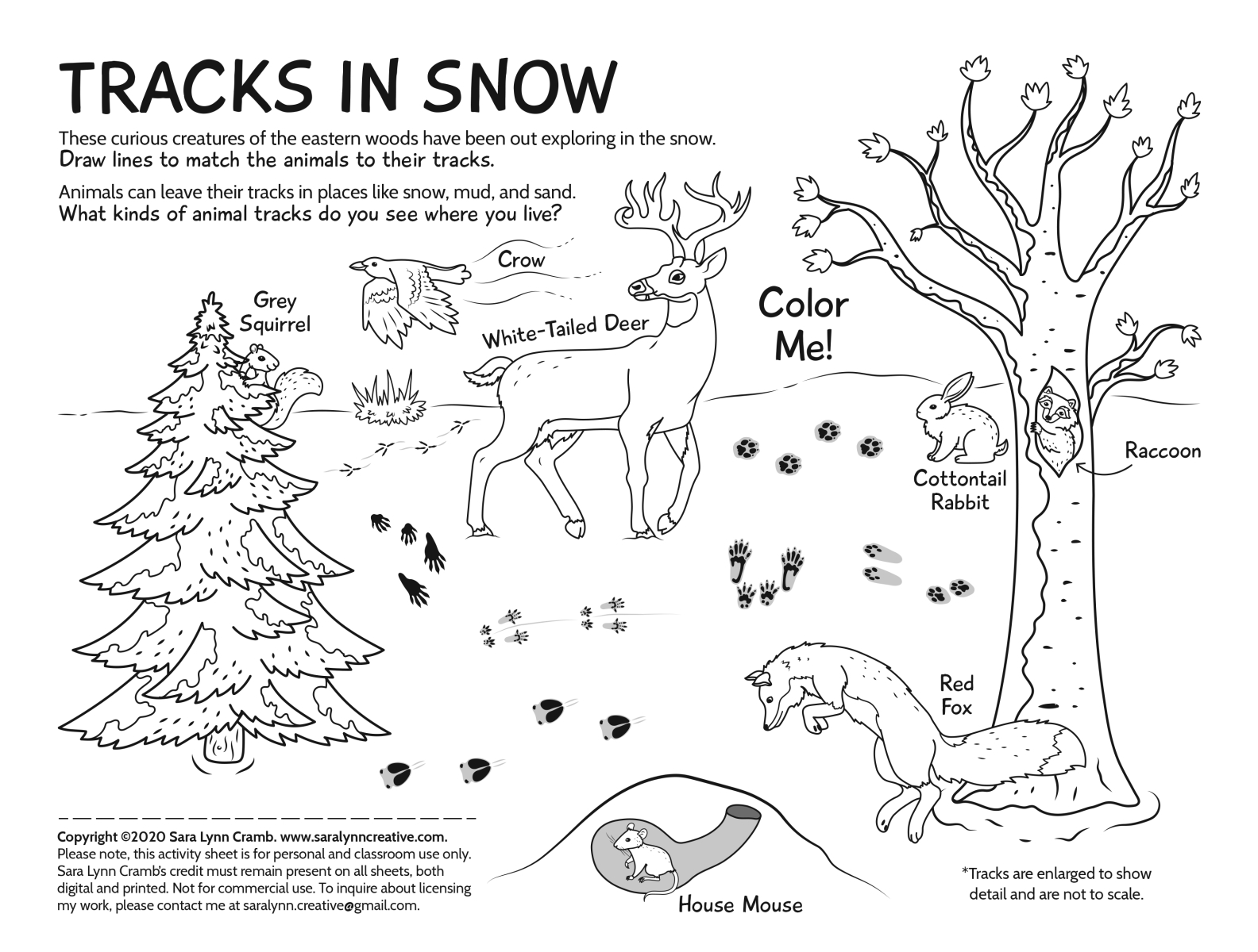 Tracks in Snow coloring page by Sara Lynn Cramb on Dribbble