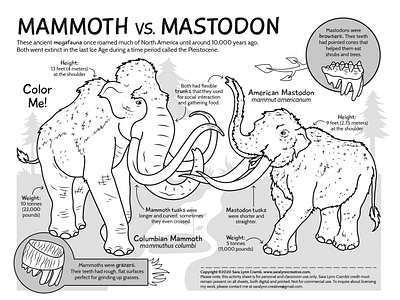 Mammoth vs Mastodon animals educational educational illustration extinct ice age illustration mammoth mastodon natural science nonfiction pleistocene prehistoric animals sciart vector