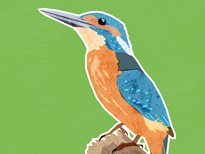 Kingfisher