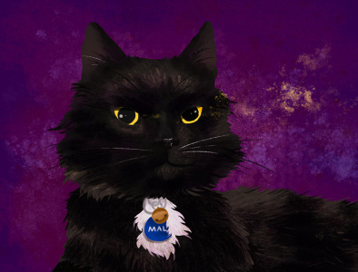 House Panther animal art animals black cat cat digital art digital illustration house panther illustration pet portrait photoshop photoshop painting portrait purple texture wild