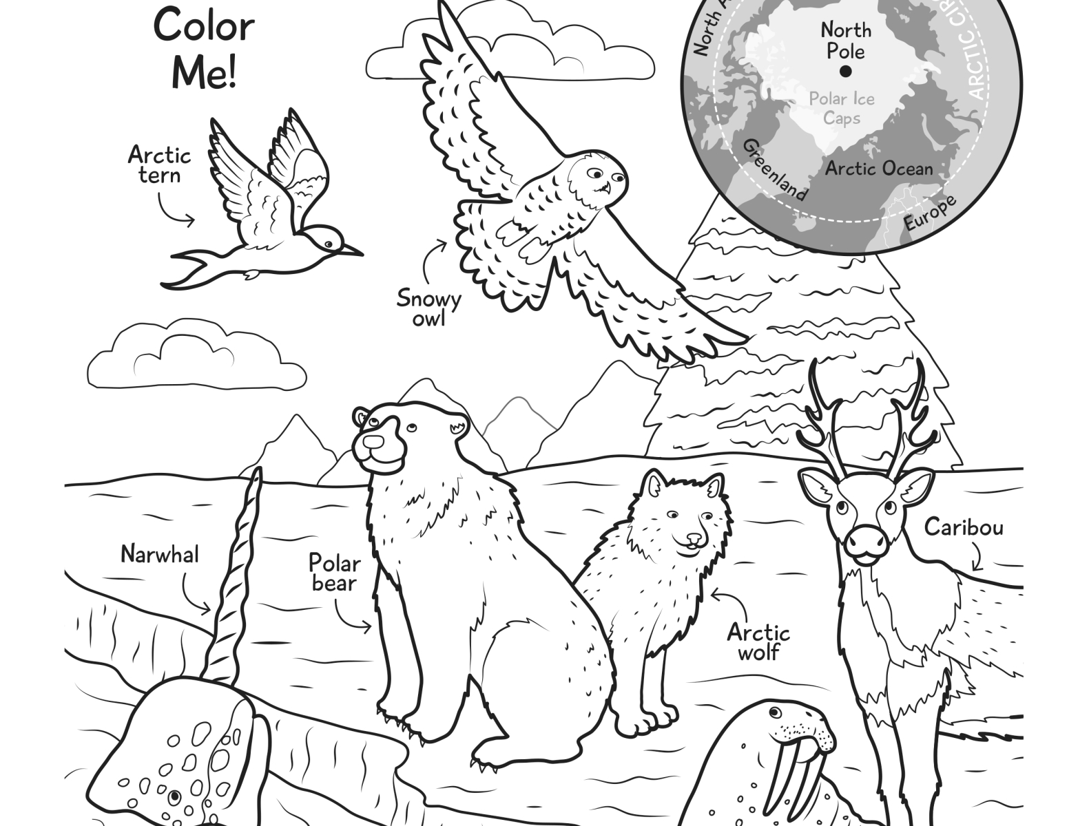 Arctic Animals coloring page by Sara Lynn Cramb on Dribbble