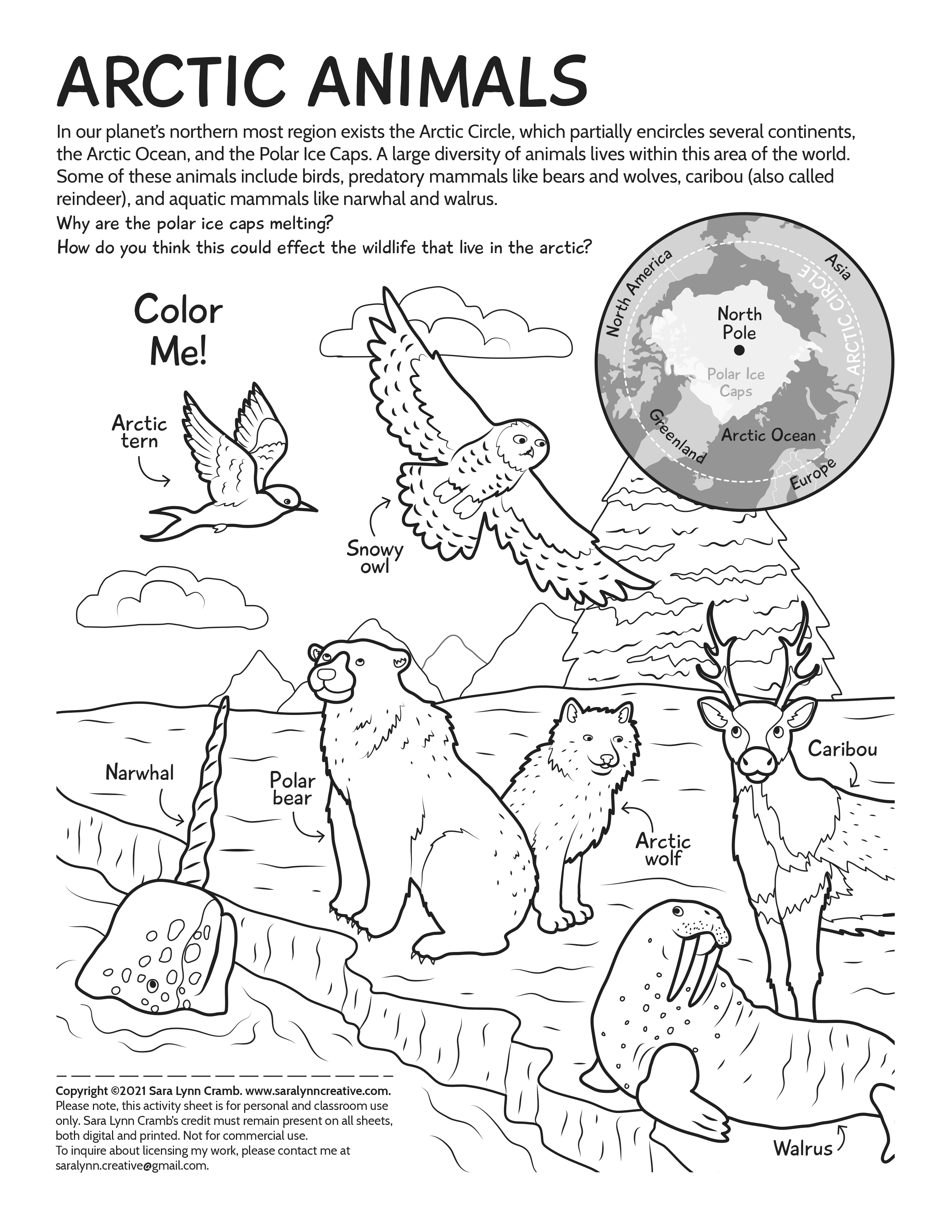 10 Arctic Animal Coloring Pages for Wildlife Enthusiasts