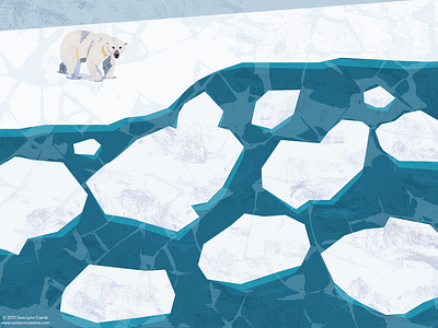 Polar Bear animals arctic bear climate change concervation digital collage digital illustration ice illustration polar bear sciart vector wildlife winter