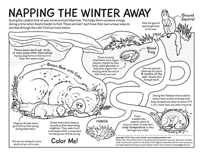 Hibernation animals bears coloring digital illustration educational illustration freeze hibernation illustration kidlitart natural science nonfiction sciart sleep vector wildlife winter