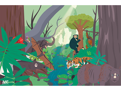 Tigers and elephants and bears oh my! animals bear educational illustration elephant forest illustration kidlitart nonfiction rainforest sciart tiger tropical vector