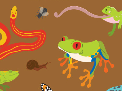 Reptiles, Amphibians, Bugs and Insects amphibians animal bugs frog illustration insects nature rainforest reptiles snails snake wildlife