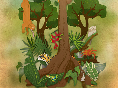 Layers of the Rainforest amazon animals brazil forest illustration jungle natural science ocelot rainforest tree vector wildlife