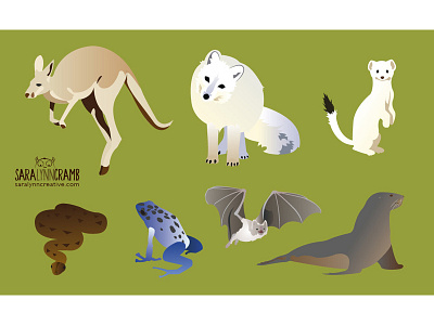 Vector Animals