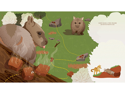 A male wombat marks his territory with cubic droppings animal behavior animals australia biology digital illustration mammal natural science poop scat sciart vector wombat