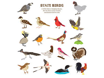 State Birds 50 states birds landmarks map road trip state birds state map travel united states usa vacation vector
