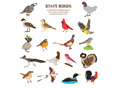 State Birds