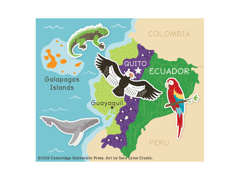 Ecuador Map wildlife digital illustration vector south america parrot whale animals islands galapagos rainforest map ecuador