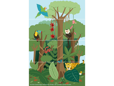 Rainforest Layers animals digital illustration ecuador el nino jaguar monkey parrot rainforest south america vector vector illustration wildlife