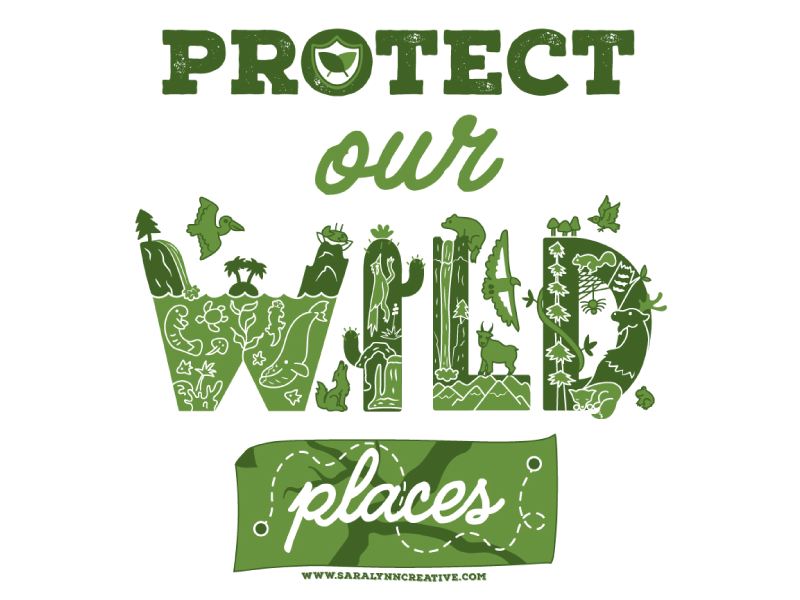 Protect Our Wild Places digital illustration vector illustration vector art wildlife preservation conservation natural resources resist national parks protect our wild places illustration nps