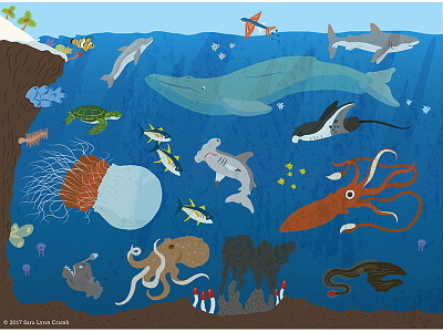 Animals of the World illustrations-Ocean Animals