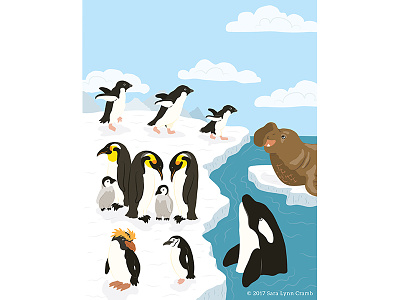 Animals of the World illustrations-Polar Animals Antarctic animals antarctic ecosystems educational illustration habitats natural science nonfiction ocean pengiun sciart whale world