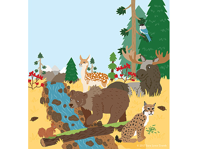 Animals of the World illustrations-Coniferous Forest Animals animals bear coniferous ecosystems educational illustration forest habitats moose natural science nonfiction sciart world