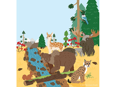 Animals of the World illustrations-Coniferous Forest Animals