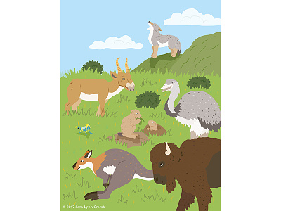 Animals of the World illustrations-Grassland Animals animals bison ecosystems educational illustration grassland habitats kangaroo natural science nonfiction rainforest sciart world