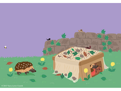 Night Explorer book illustrations-Feeding Hedgehogs