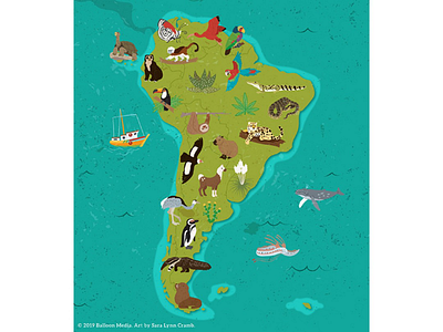 South America animal map by Sara Lynn Cramb on Dribbble