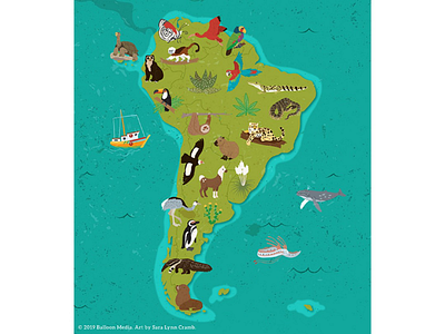 South America animal map