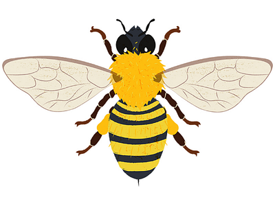 Bee