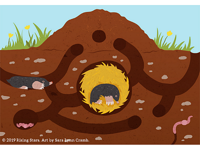 Mole hill cross section