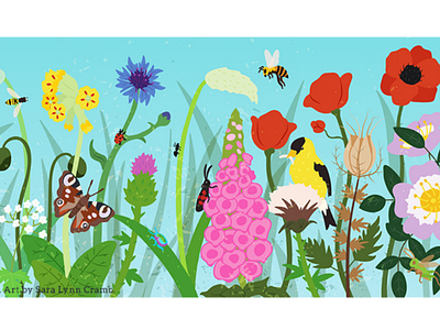 Wildflowers and pollinators bird botanical childrens publishing flower illustration insects kidlitart pollination pollinator wildflower wildlife