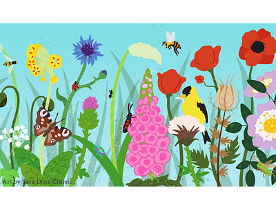 Wildflowers and pollinators