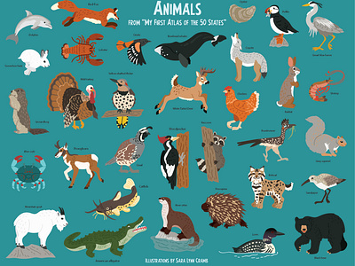 Animal spot art