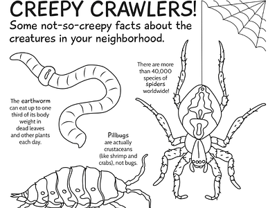 October kids nature activity page activity sheet biology children coloring creepy crawlers edcation halloween kids activity patreon sciart spider spoopy